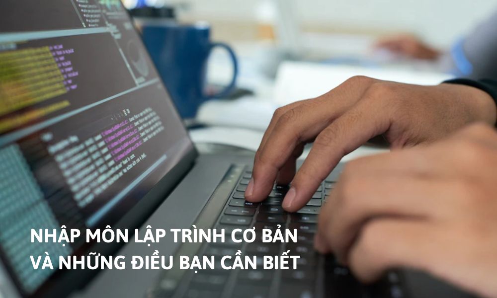 NHẬP MÔN LẬP TRÌNH CƠ BẢN VÀ NHỮNG ĐIỀU BẠN CẦN BIẾT